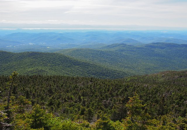 An endless scene of forested mountains, some trees in the foreground, the distance becoming progressively more hazy