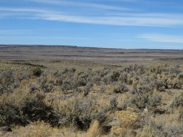 Mostly dried-up, low shrubs in the foreground, interspersed with dead grass, with barren ridges in the distance