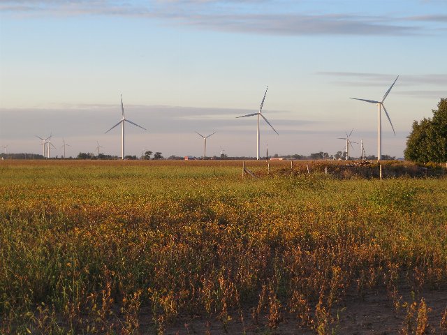 cropland in the foreground, modern windmills in the background and some trees along the horizon