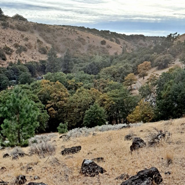 hilly terrain with grassland with scattered rocks in the front, and savanna with scattered trees behind