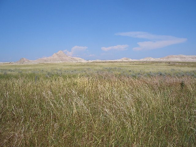 grasslands in the foreground with some barren hills in the distance