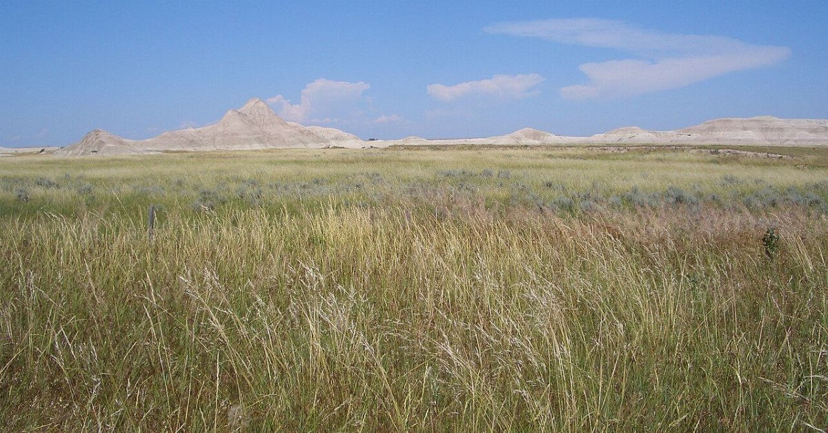 grasslands in the foreground with some barren hills in the distance