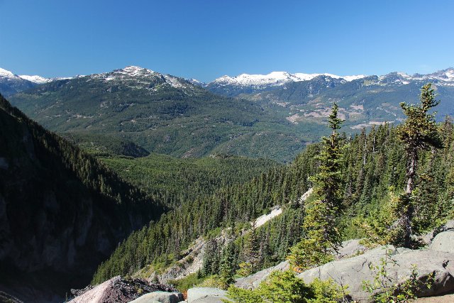 mountainous landscape with conifers at lower elevations, rock outcroppings in foreground, and snow at the peaks