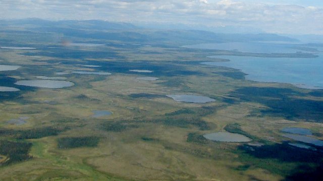 aerial photo of flat landscape with numerous small ponds, along a coast, mostly covered in low, open dull green vegetation