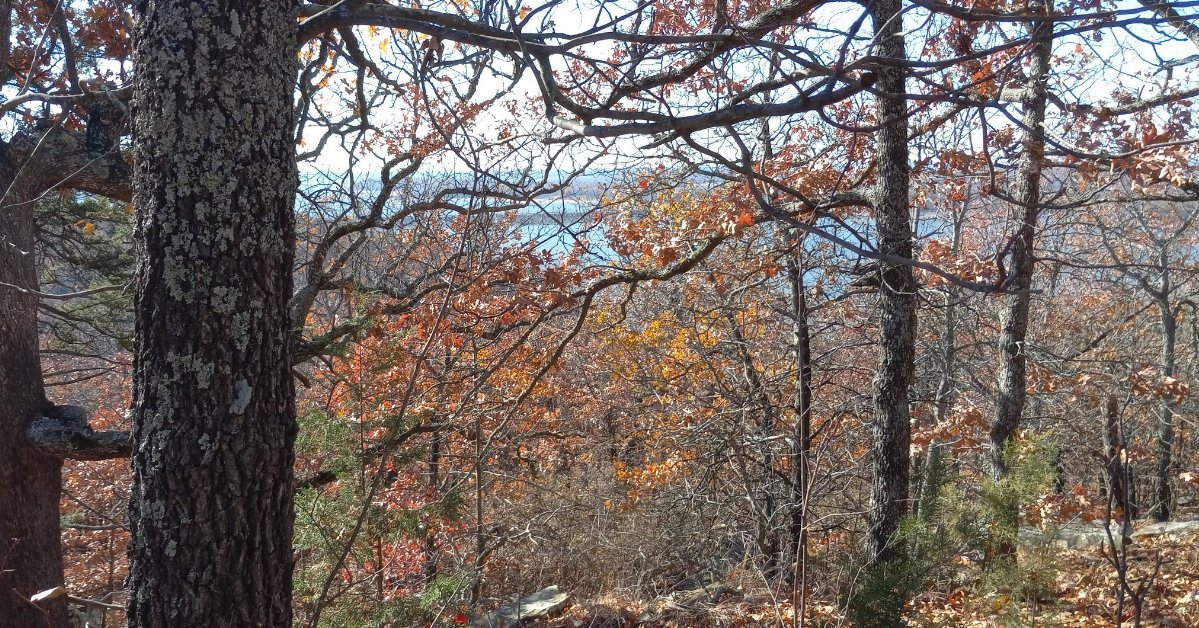 overlook from a somewhat open deciduous forest in winter, with water in the background