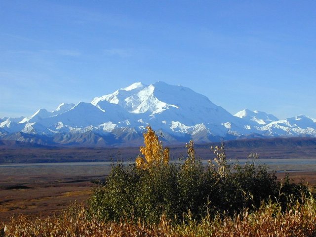 A huge snow-covered mountain in the distance, with a flat, open landscape in front of it, some low plants in the foreground